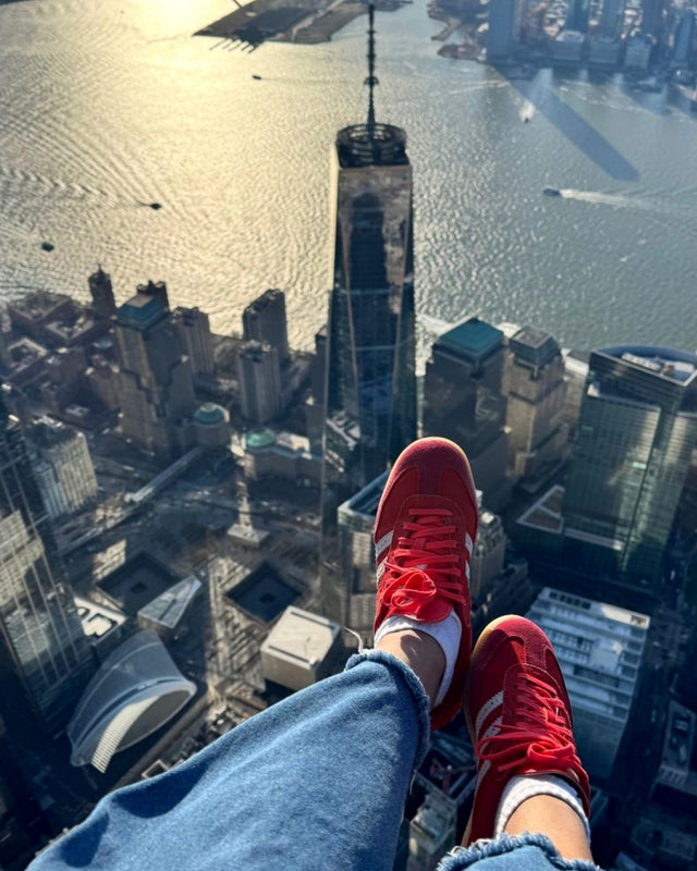 The Manhattan Doors Off, view from the helicopter