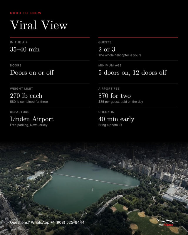Viral View, flight details and good to know